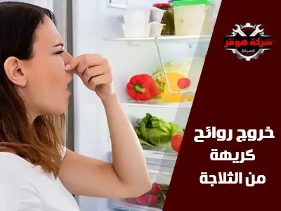 أسباب خروج روائح كريهة من الثلاجة